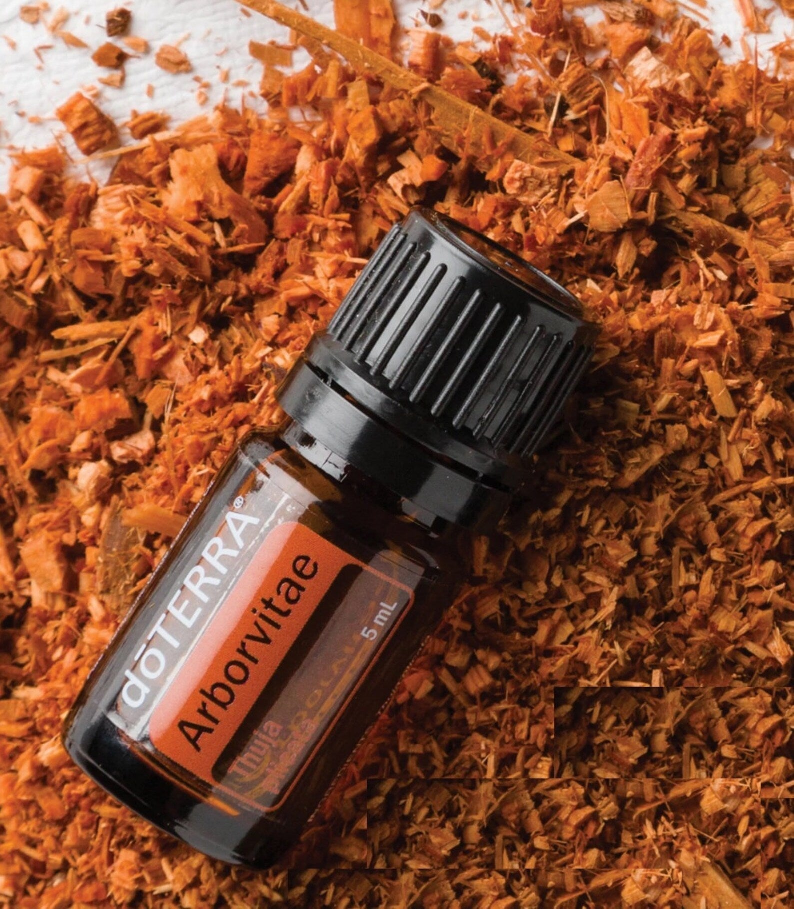 Arborvitae Óleo Essencial  Thuja plicata (Arborvitae)